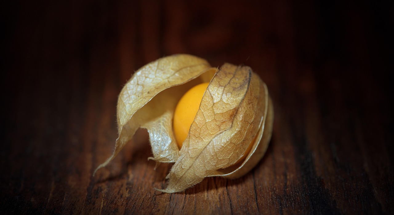 Recubrimiento de quitosano y cera de abeja. La estrategia para optimizar la calidad poscosecha de la Uchuva.jpg